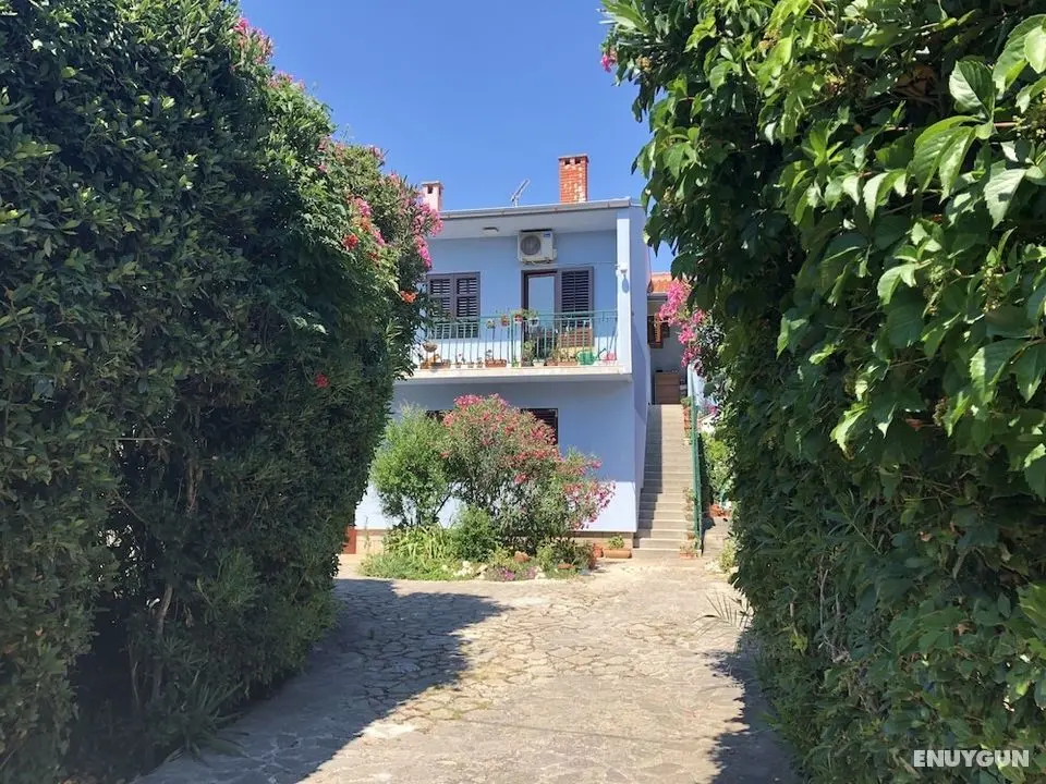 Apartment in Villa, Private Pool, big Garden, Close to sea and Old Zadar Town - Öne Çıkan Resim