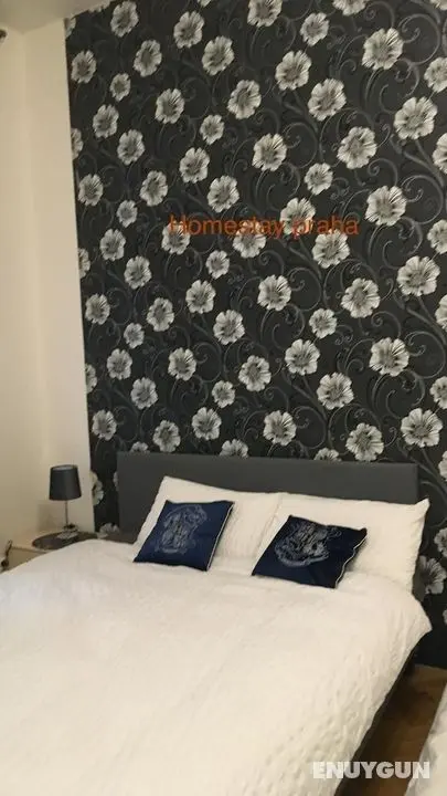 Apartment in Square Praha 2 - Oda
