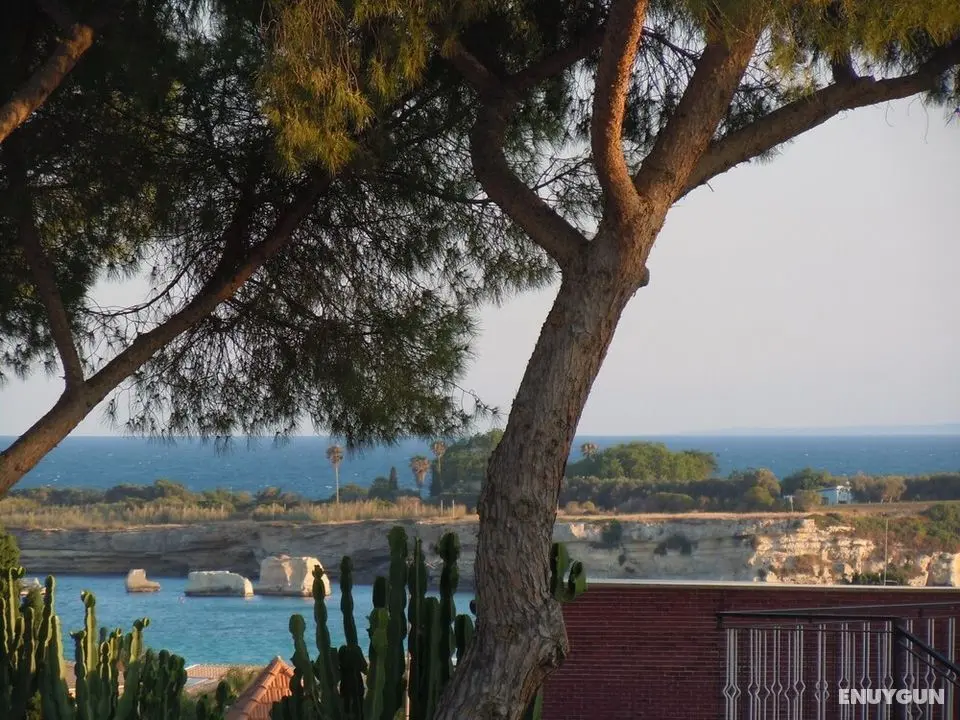 Apartment in Villa Tersi 200 Meters From the sea - air Conditioned - Wifi - Öne Çıkan Resim