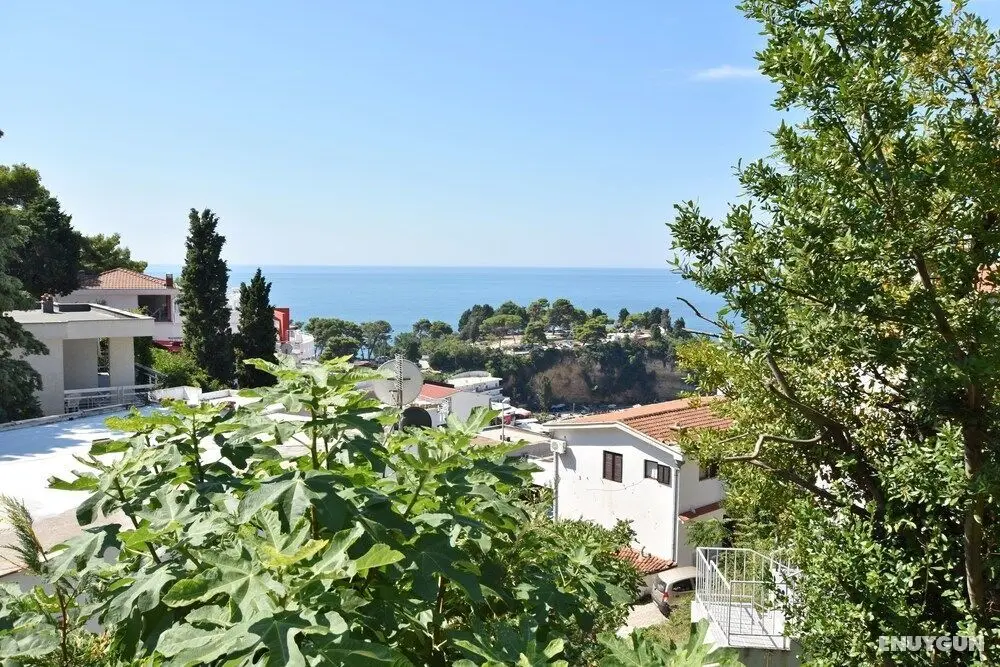 Apartments Aleksandar - Oda Manzaraları