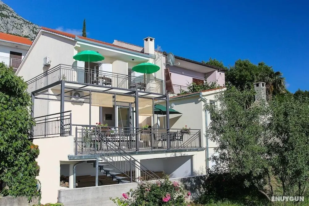 Apartments Villa Alex - Öne Çıkan Resim