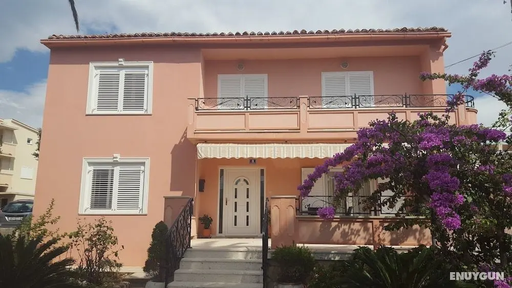 Apartments Cola - Öne Çıkan Resim