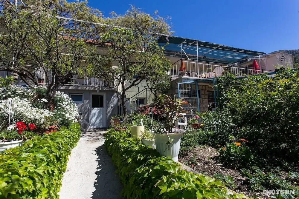 Apartments Djurkovic - Öne Çıkan Resim