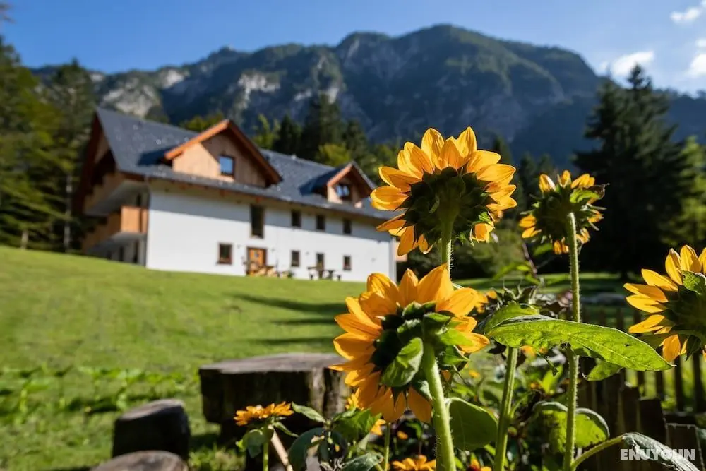 Apartments Goldhorn Kingdom - Öne Çıkan Resim