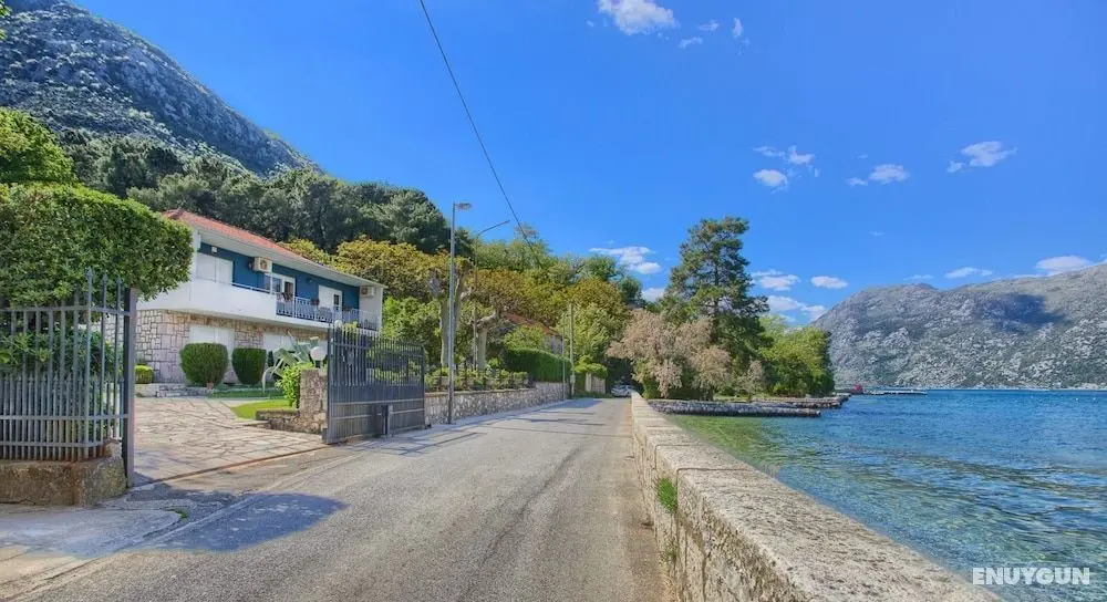 Apartments Ivanovic - Öne Çıkan Resim