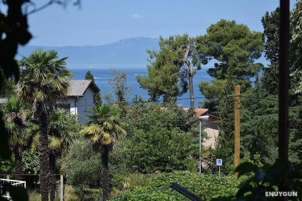 Apartments Maestral - Öne Çıkan Resim