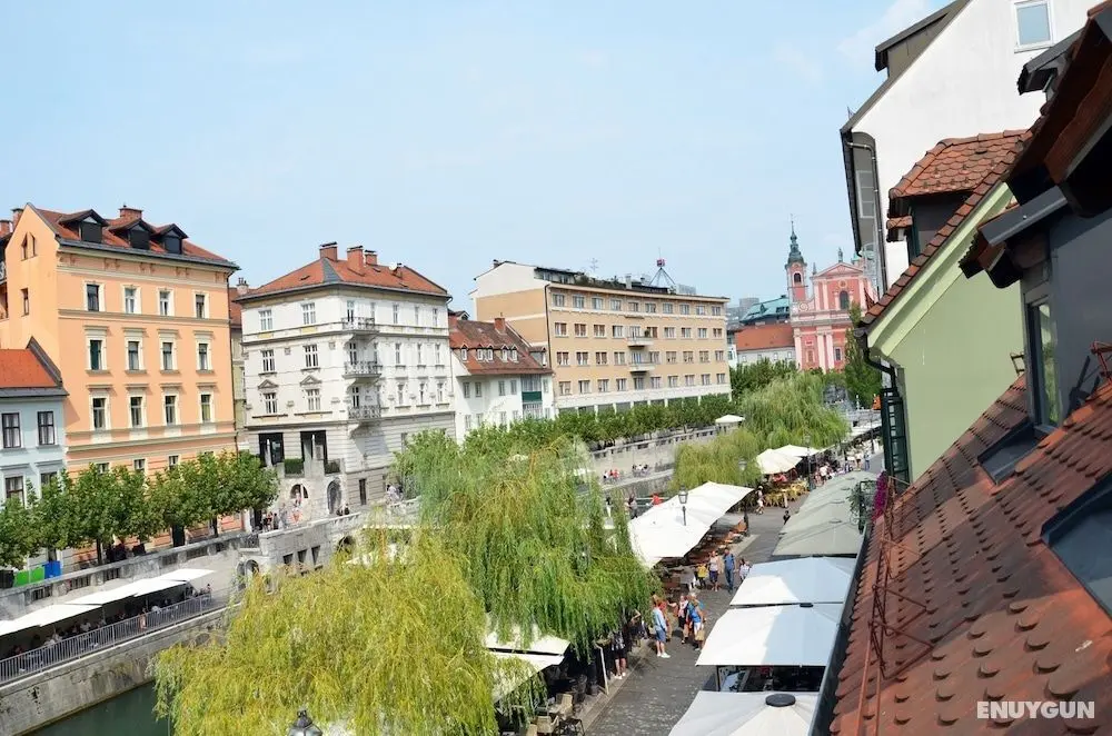 Apartments and rooms Meščanka - Oda Manzaraları
