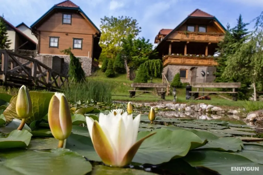 Apartments and wellness center Korošec - Öne Çıkan Resim