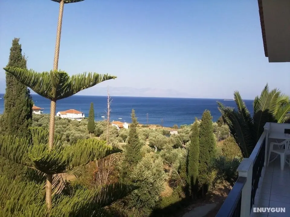 Apartments Xenios Zeus 2 - Konum Öne Çıkanlar