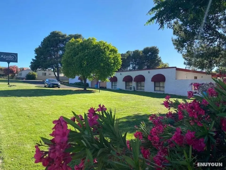 Apollo Motel Parkes - Öne Çıkan Resim