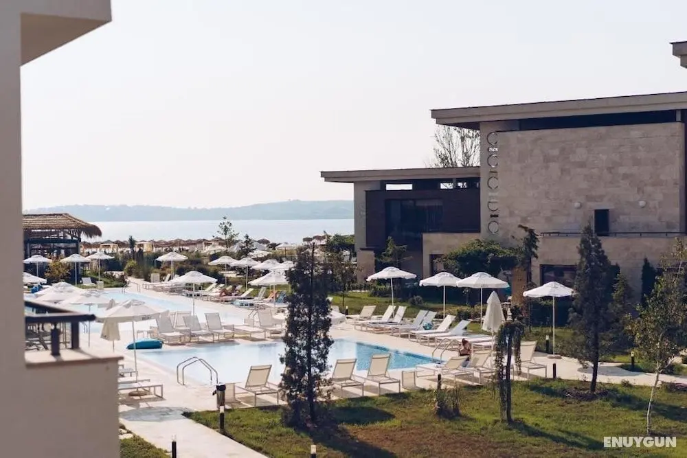 Apolonia Resort - Havuz