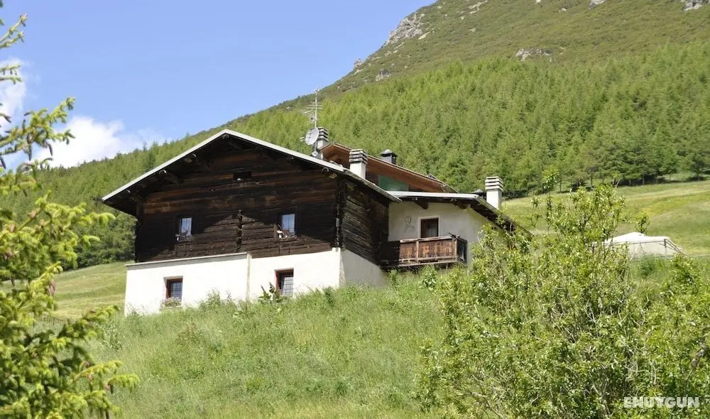Appartamenti Green - Dış Mekan