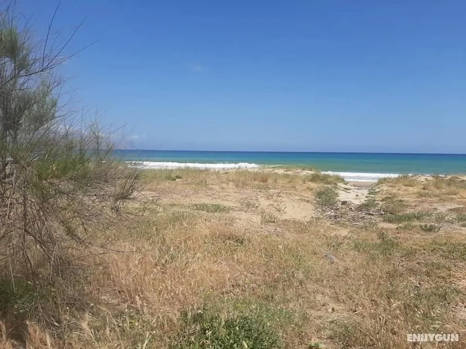 Appartamento Arancina a 150 Metri dal Mare - Öne Çıkan Resim