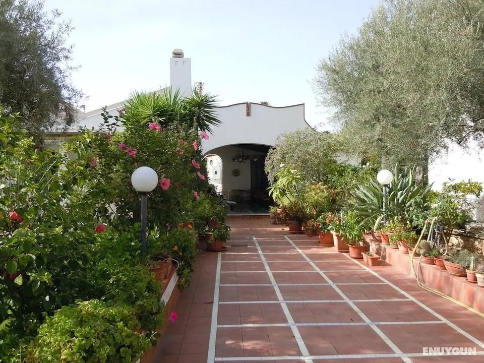 Appartamento In Villa Musa Climatizzato- Wi-fi - Vicino al Mare - Dış Mekan