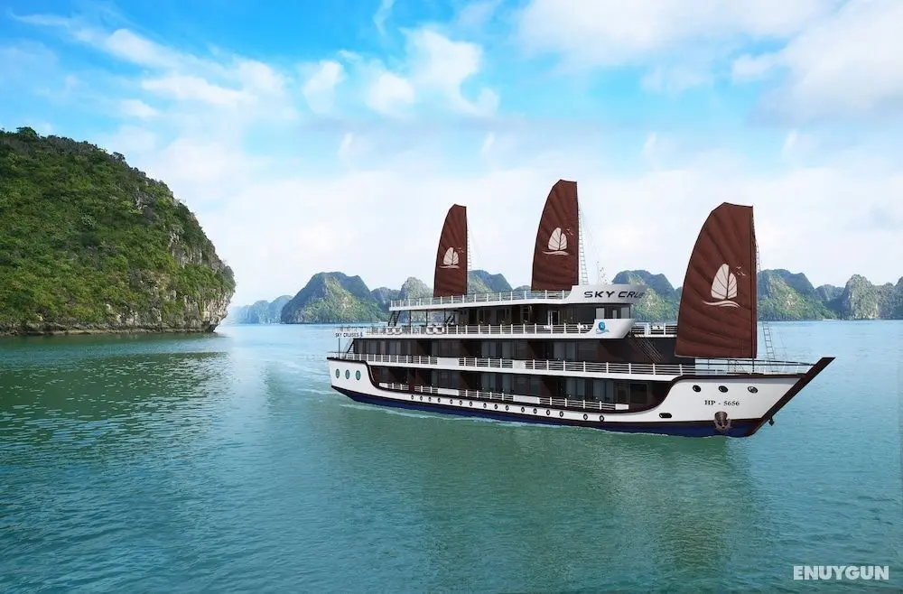 Apricot President Cruise - Öne Çıkan Resim