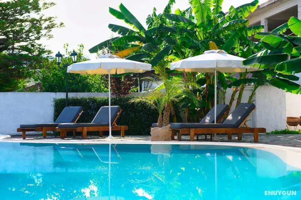 Aquarius Beach Eco-Hotel - Öne Çıkan Resim