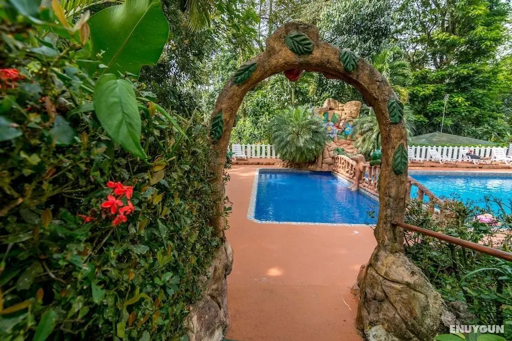 Ara Ambigua Lodge - Havuz