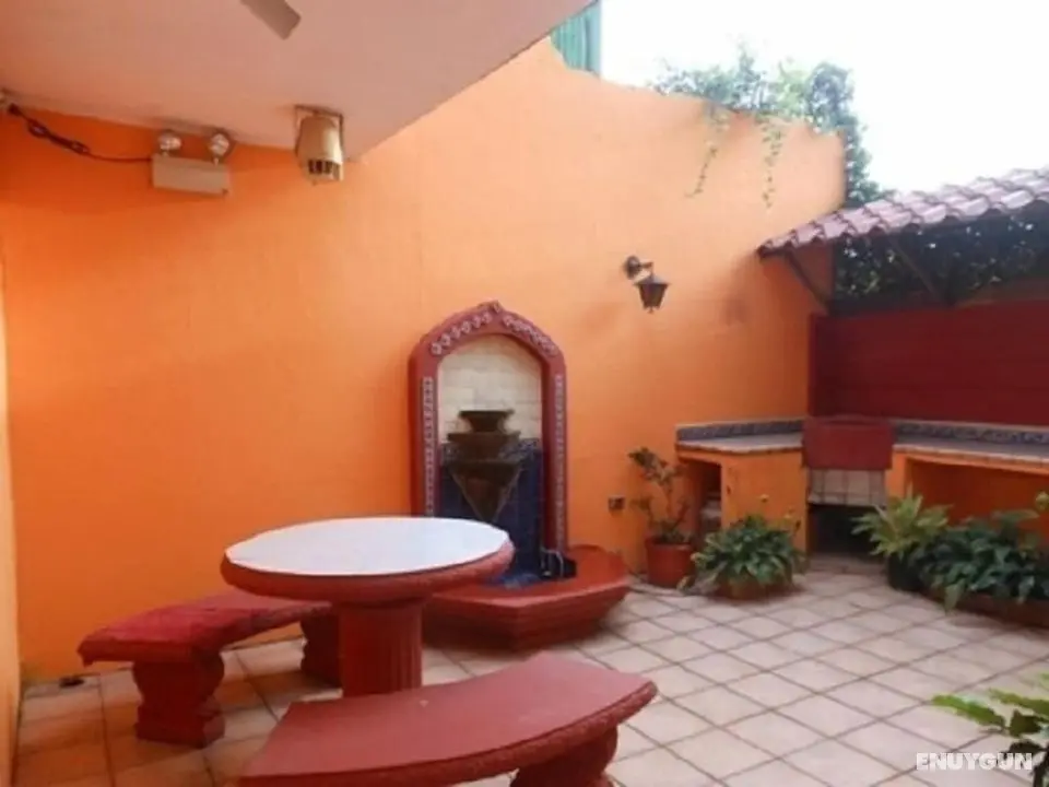 Ara Macao Inn - Dış Mekanlar