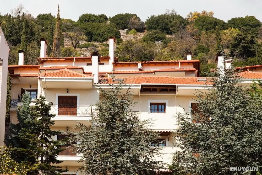 Arachova's Hilltop Delight Apartment - Öne Çıkan Resim