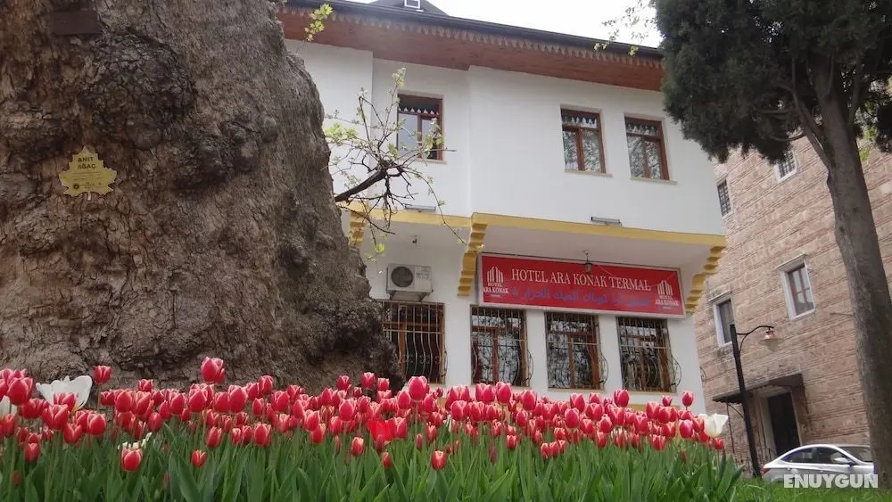 Arakonak Termal Hotel - Öne Çıkan Resim