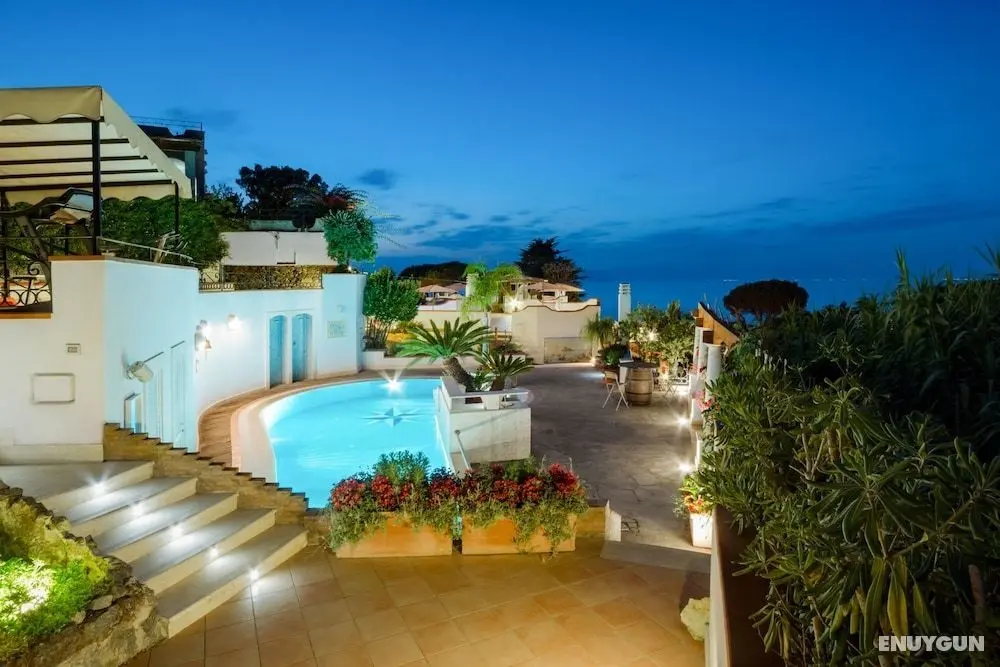 Villa Araucaria - Öne Çıkan Resim