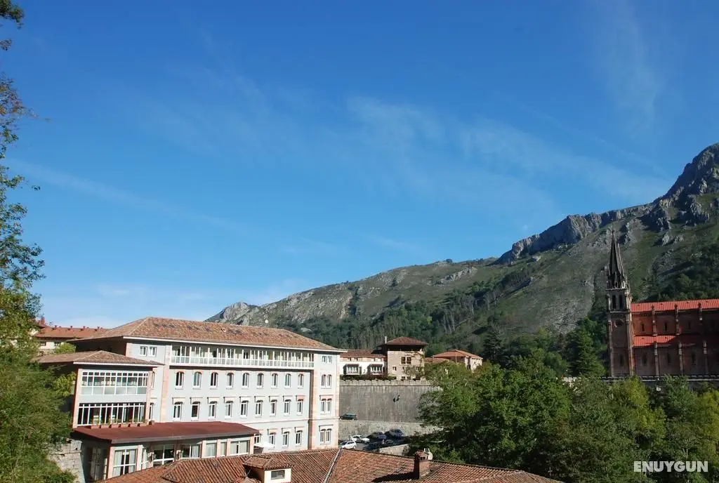 Arcea Gran Hotel Pelayo - Genel