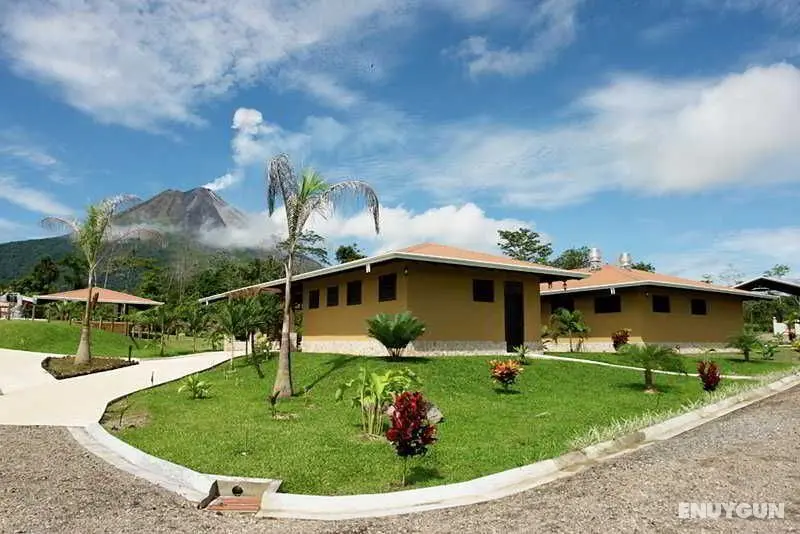 Arenal Manoa - Genel