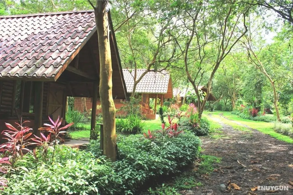 Arenal Oasis - Öne Çıkan Resim