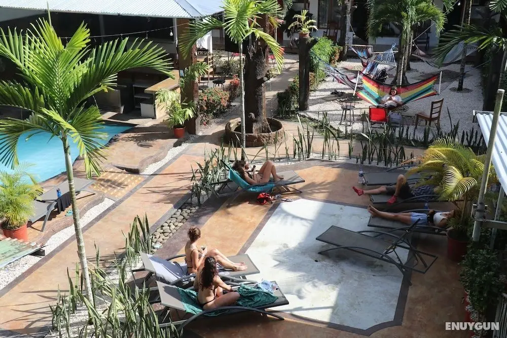 Arenal Poshpacker - Öne Çıkan Resim