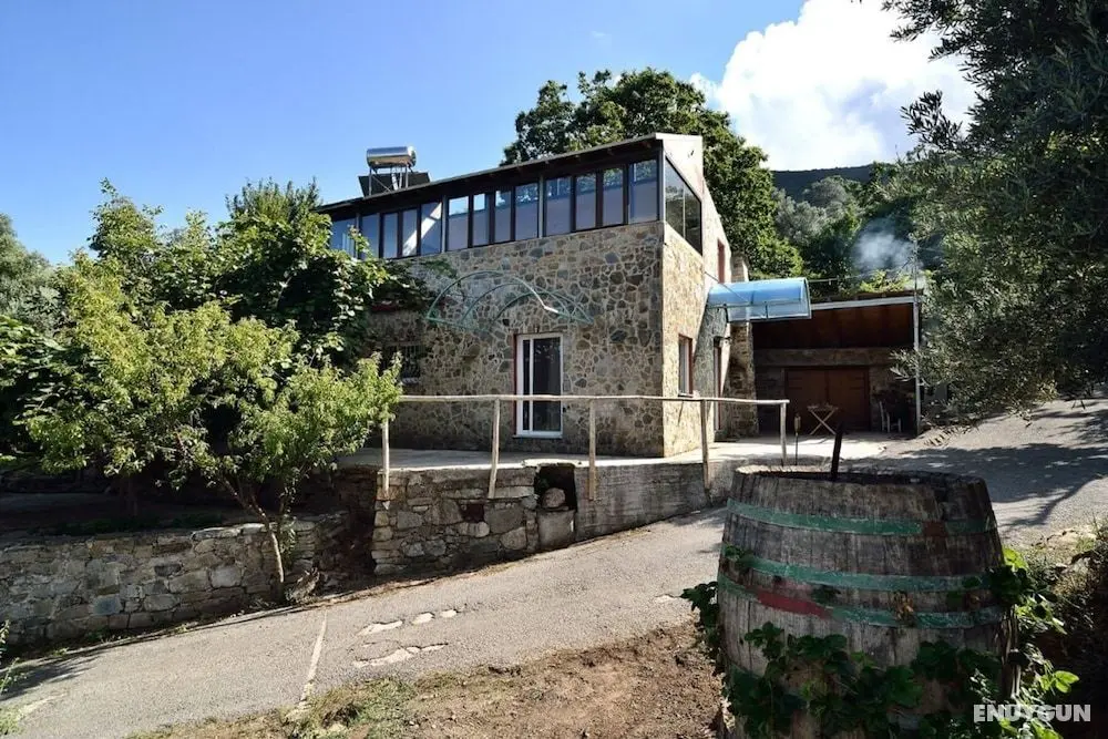 Villa Areti - A Cottage in Cretan Nature - Öne Çıkan Resim