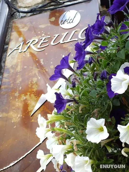 Hotel Areulo - Öne Çıkan Resim