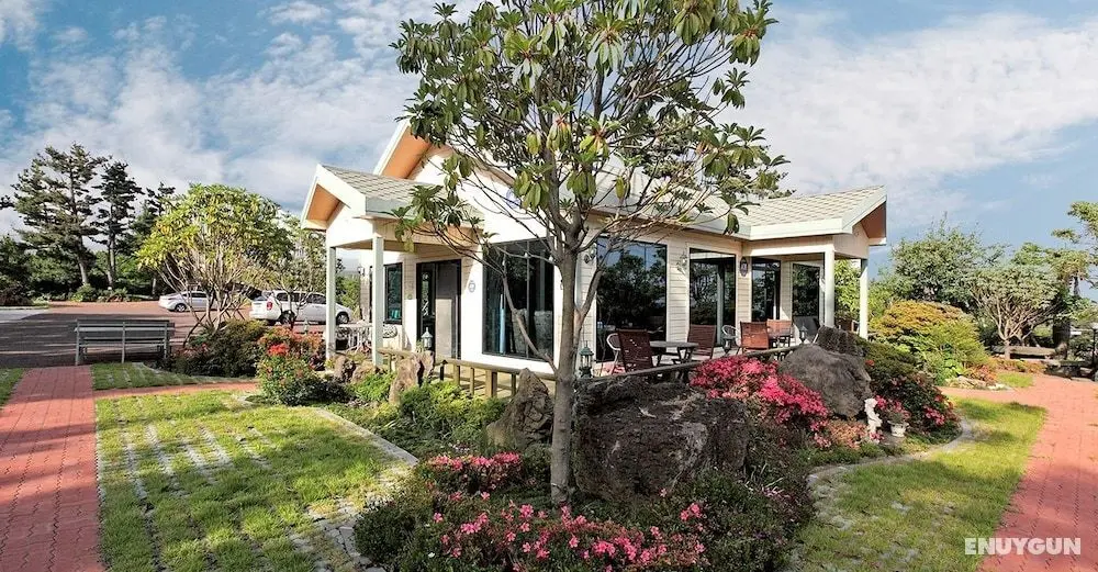 The Areumdaun Pension - Öne Çıkan Resim