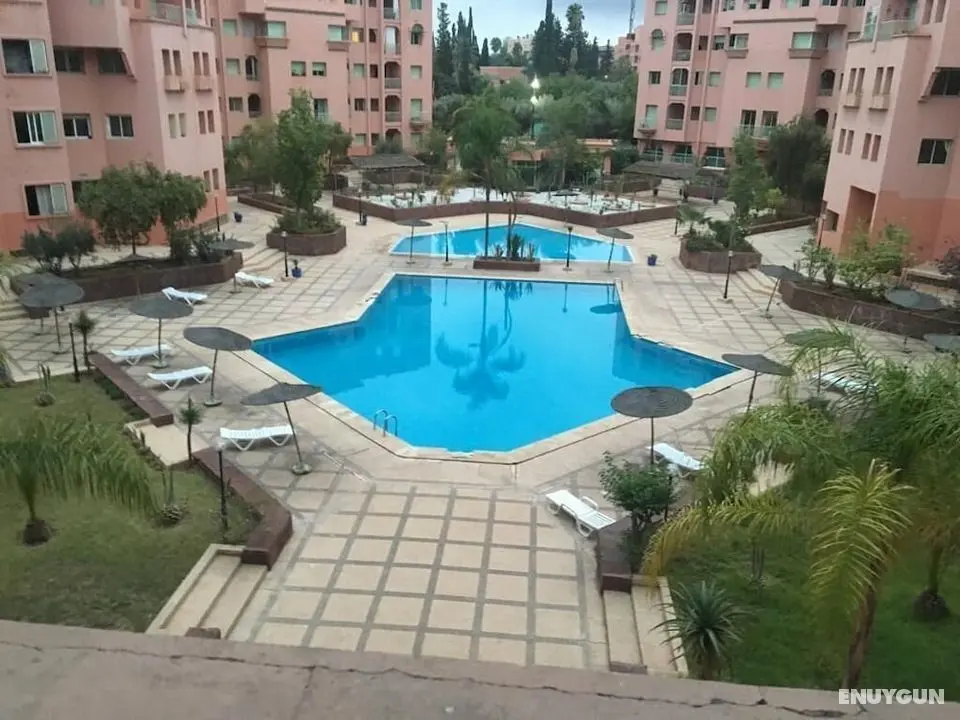 Arf 3 Marrakech - Öne Çıkan Resim
