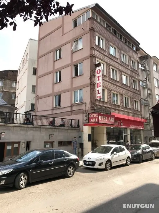 Ari Otel - Genel