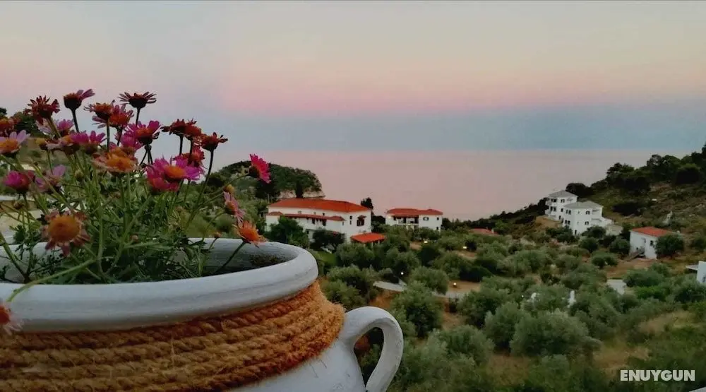 Hotel Ariadne - Öne Çıkan Resim