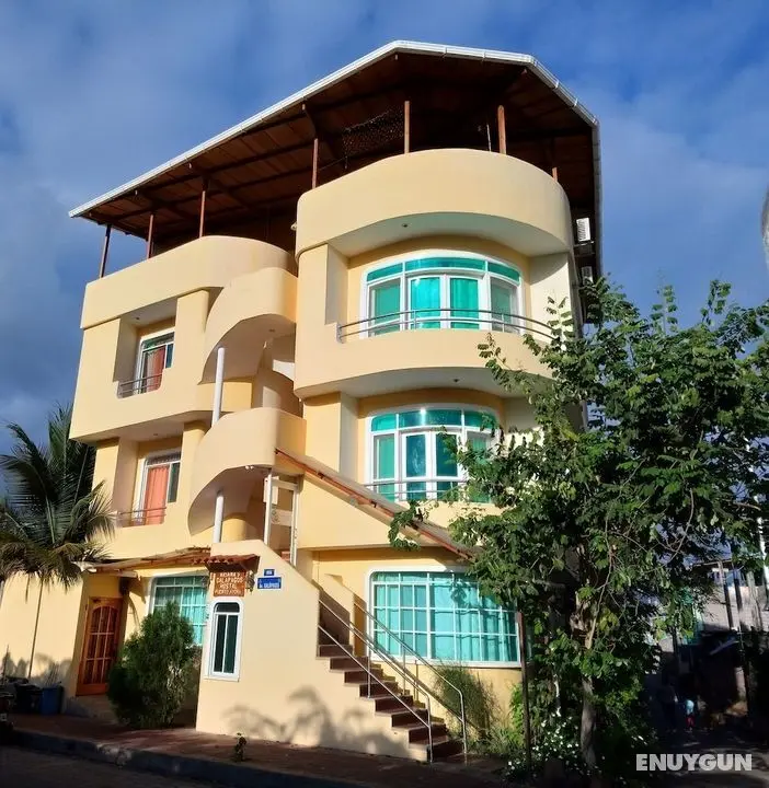 Ariana´S Galapagos Hostal - Öne Çıkan Resim