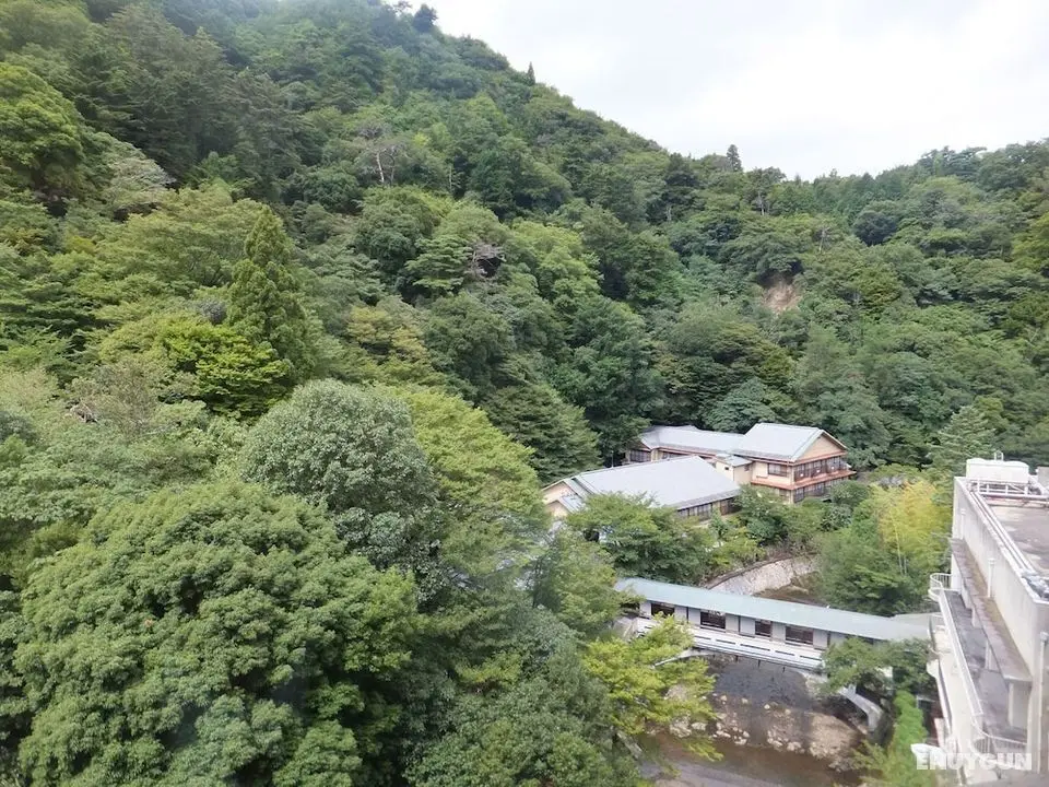 Arima Onsen Gekkoen Korokan - Oda Manzaraları