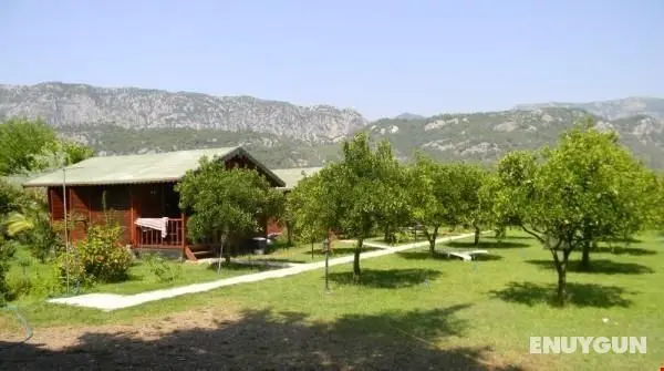 Armina Pension - Dış Mekan