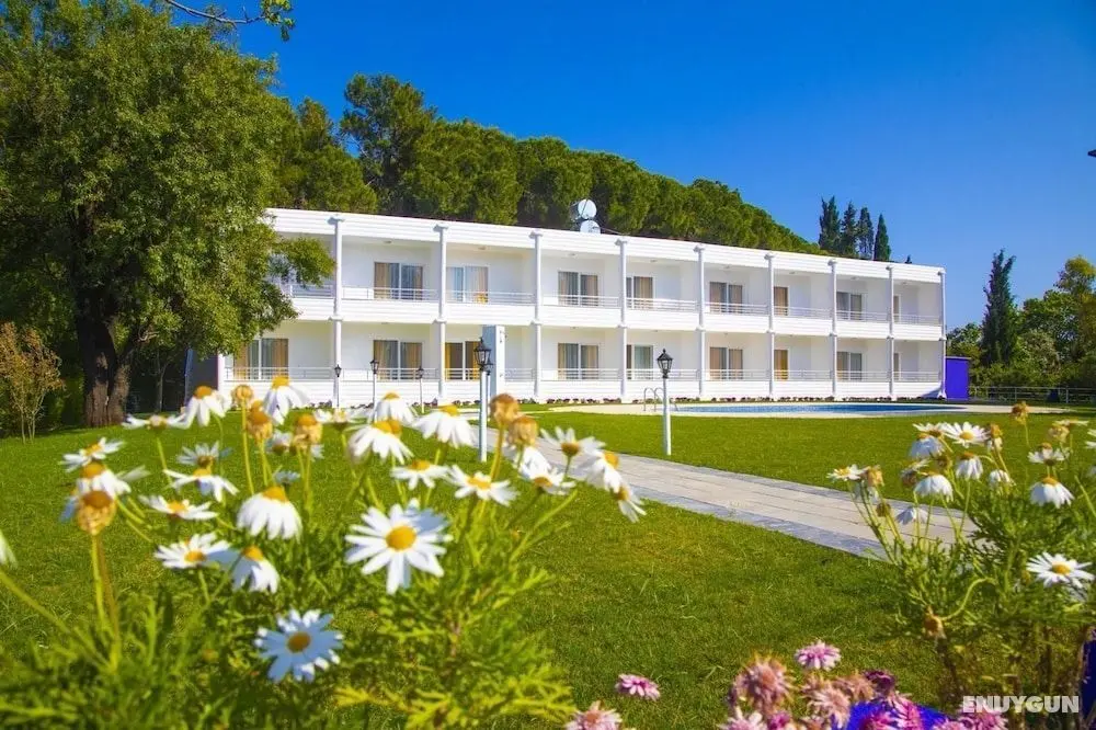Aroma Butik Hotel - Öne Çıkan Resim