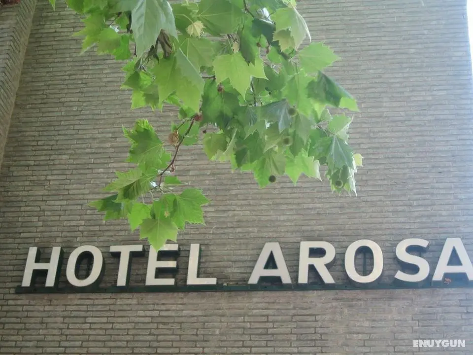 Hotel Arosa - Genel