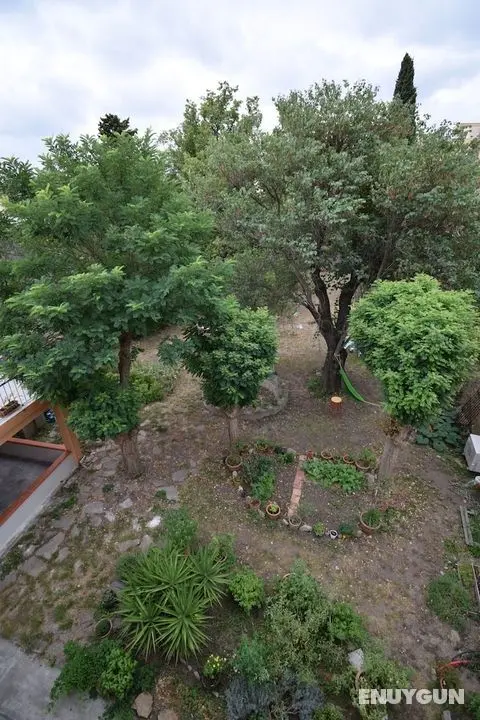 Art Home B&B - Öne Çıkan Resim