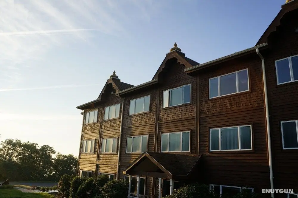 Art of Living Retreat Center - Öne Çıkan Resim