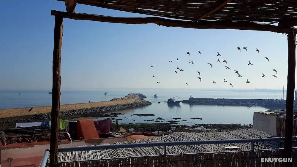 Art riad au bord de la mer - Öne Çıkan Resim