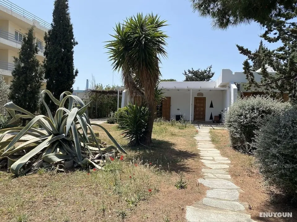 Villa Artemis - Dış Mekan