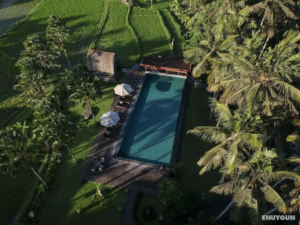 The Artini Dijiwa Ubud - Öne Çıkan Resim