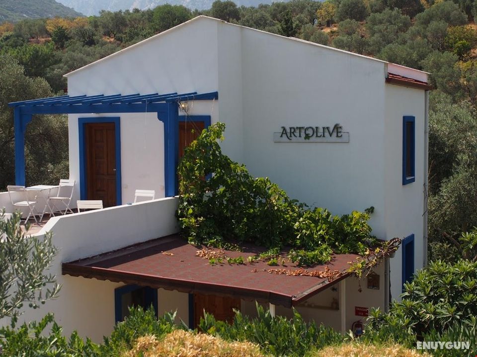Artolive Datça Butik Otel