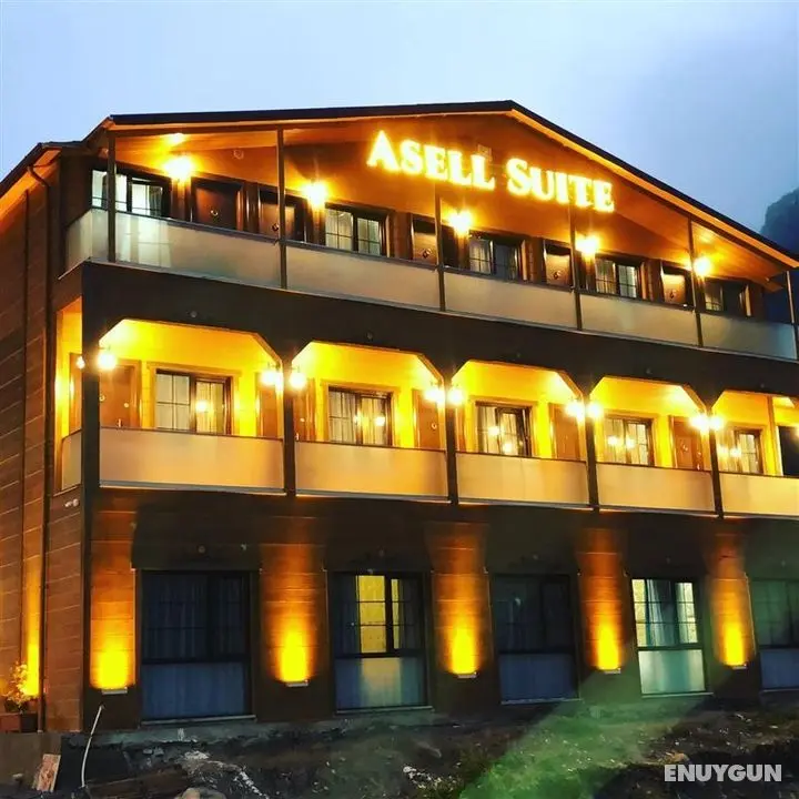 Asell Suite - Genel
