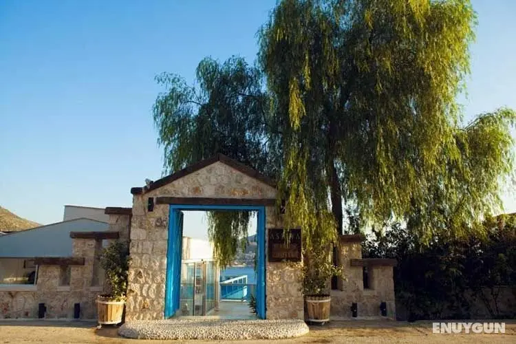Asfiya Seaview Hotel - Dış Mekan