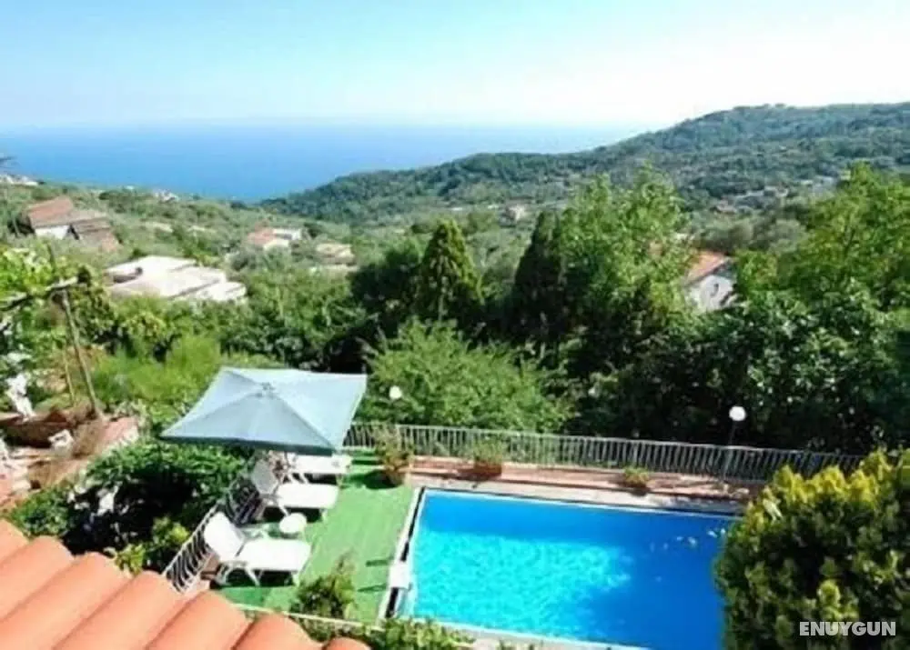 Villa Asia - Öne Çıkan Resim