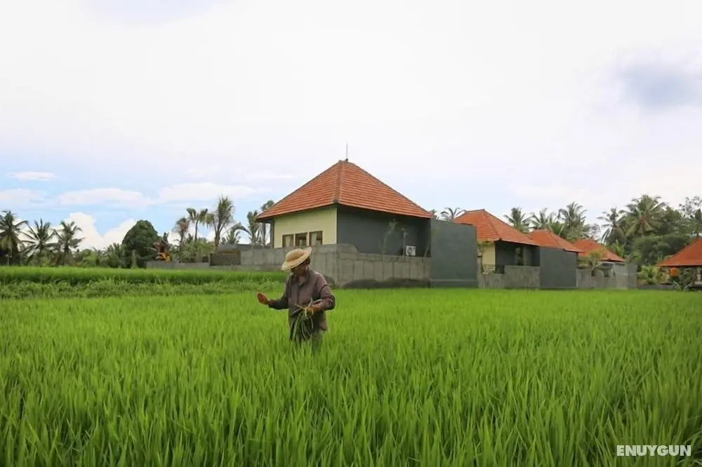 Asri Sari Villa Ubud - Öne Çıkan Resim